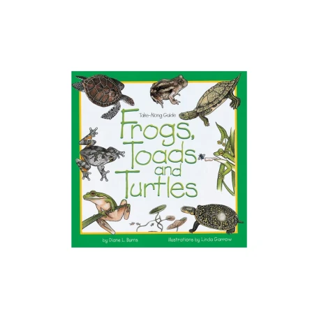 Frogs & Turtles TOOB®Default Title in 2023