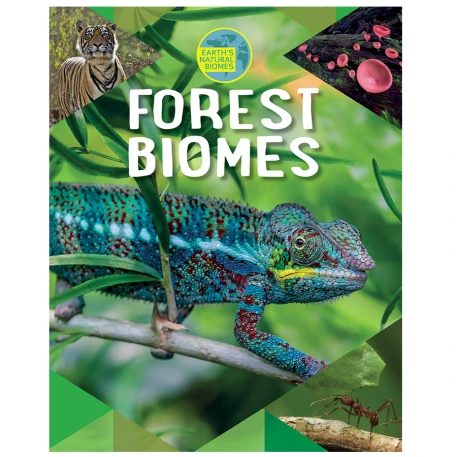 Forest Biomes