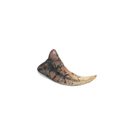 Utahraptor Claw Replica