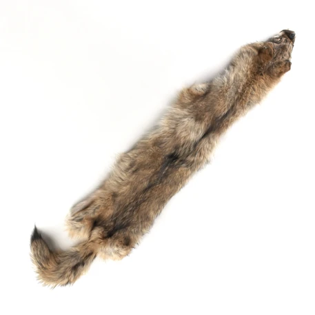 Coyote Skin