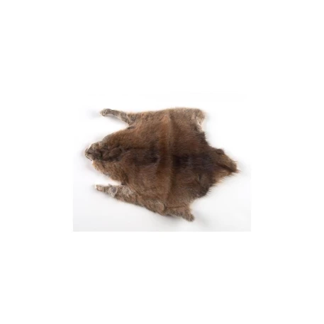 Muskrat Skin