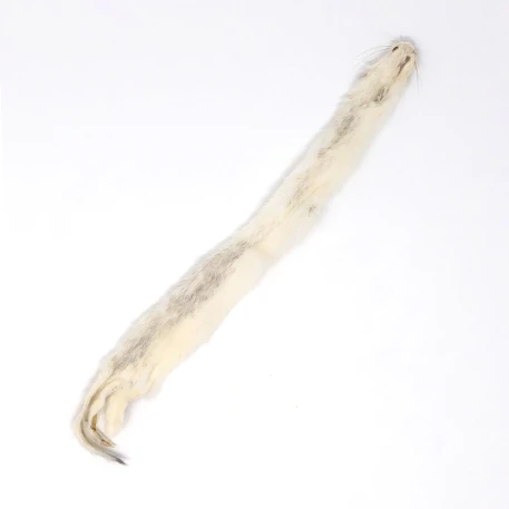 Weasel Skin (Ermine)