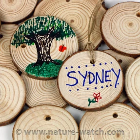 Tree Rings - Tree Cookies - Tree-Mendous Activity Kit