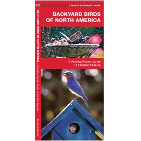 Backyard Birds of North America Pocket Naturalist Guide