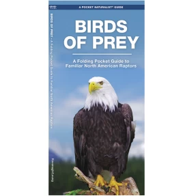 Birds of Prey Pocket Naturalist Guide