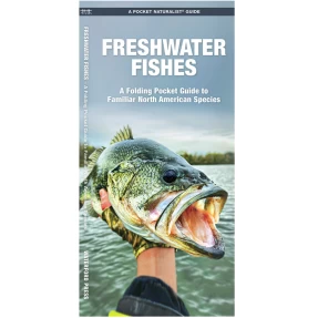 Freshwater Fishes Pocket Naturalist Guide
