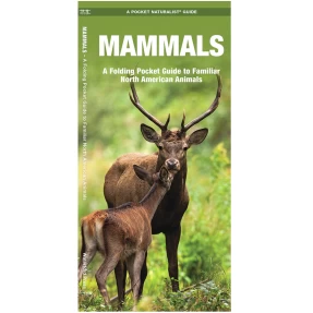 Mammals Pocket Naturalist Guide
