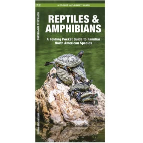 Reptiles & Amphibians Pocket Naturalist Guide