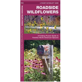 Roadside Wildflowers Pocket Naturalist Guide