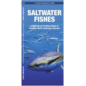 Saltwater Fishes Pocket Naturalist Guide