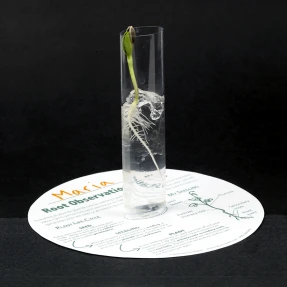 Root Observation Station Activity Kit