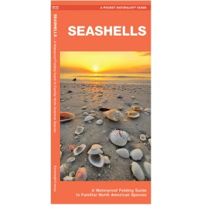 Seashells Pocket Naturalist Guide