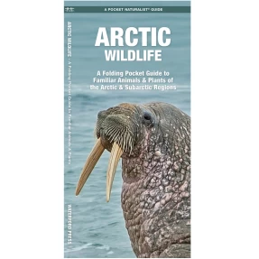 Arctic Wildlife Pocket Naturalist Guide