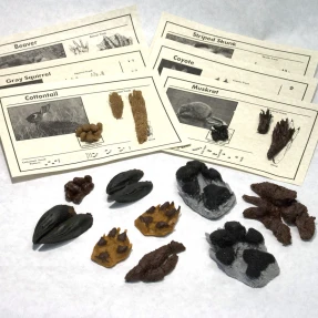 Replica Animal Track and Scat Set (16 Tracks and Scats)