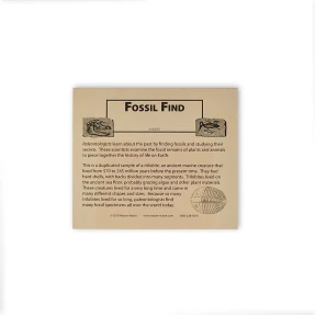 Trilobite Information Cards (Pack of 25)