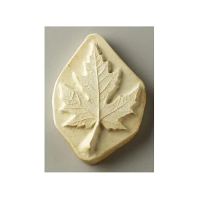 Sugar Maple Leaf Print