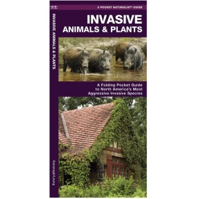 Invasive Animals & Plants Pocket Naturalist Guide