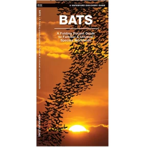 Bats Discovery Guide