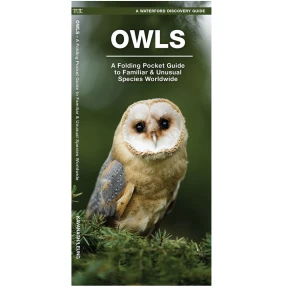 Owls Discovery Guide