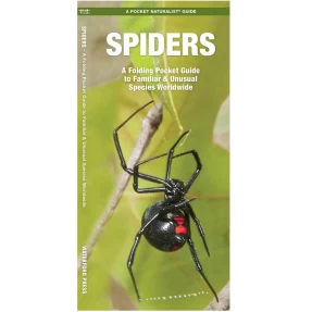 Spiders Discovery Guide