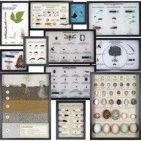 Nature Watch Science Display Collection (12 displays)