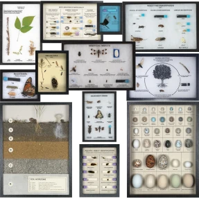 Nature Watch Science Display Collection (12 displays)