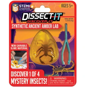 Discover-It Ancient Amber Insect Lab