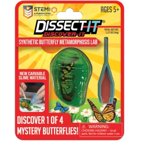 Discover-It Butterfly Metamorphosis Lab