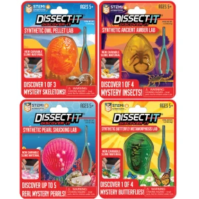 Discover-It Lab Set (Set of 4 labs)