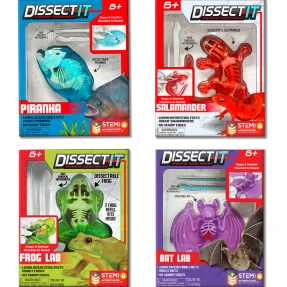 Dissect-It Lab Set (Set of 4 labs)