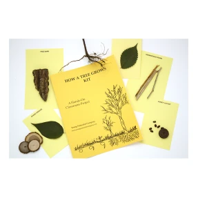 How a Tree Grows Kit