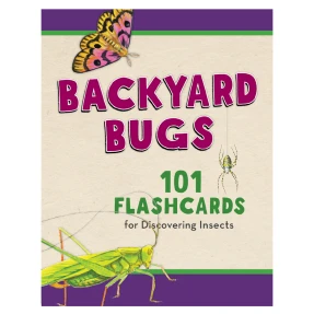 Backyard Bugs Identification Flashcards