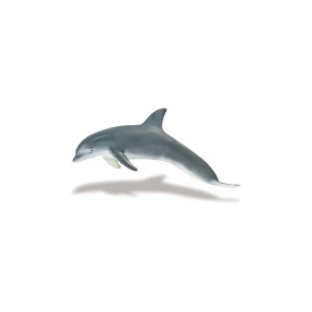 Bottlenose Dolphin Replica