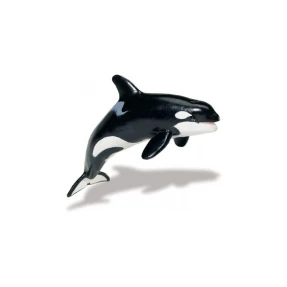 Killer Whale Replica