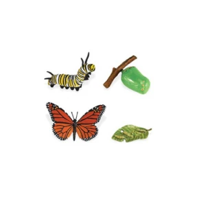 Monarch Butterfly Life Cycle Stage Figures