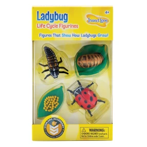 Ladybug Life Cycle Stage Figures