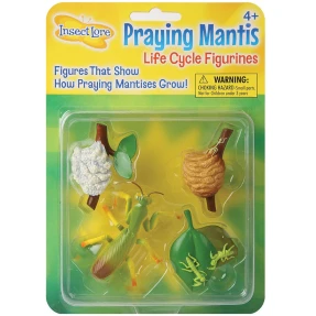 Praying Mantis Life Cycle Stage Figures