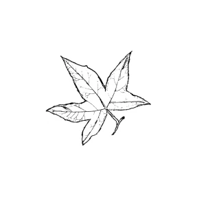 Sweetgum Leaf Rubber Stamp