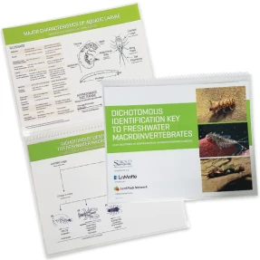 Aquatic Macroinvertebrate Dichotomous Key