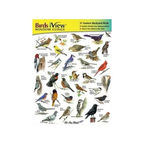 Birds iView Window Clings