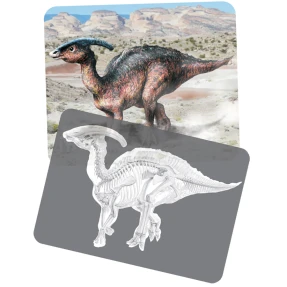 Discovering Dinosaurs Picture Cards & X-ray