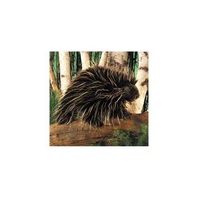 Porcupine Puppet