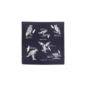 Birds of Prey Bandanna