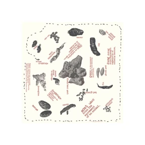 Animal Scat Bandanna