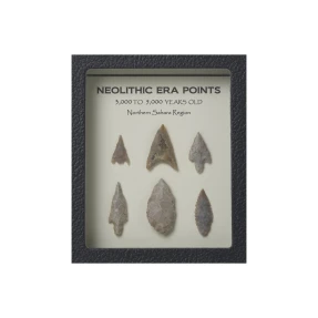 Neolithic Points Display