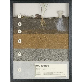 Soil Horizons Display