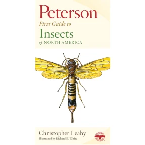 Insects First Guide