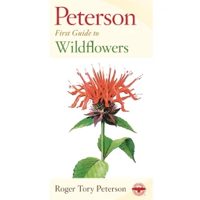 Wildflowers First Guide