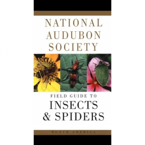 Insects and Spiders: National Audubon Society Field Guide
