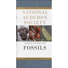 Fossils: National Audubon Society Field Guide